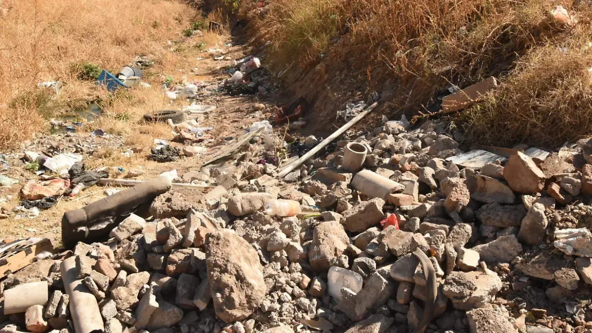 Chihuahua aumenta multas por terrenos baldíos sucios hasta $22,000