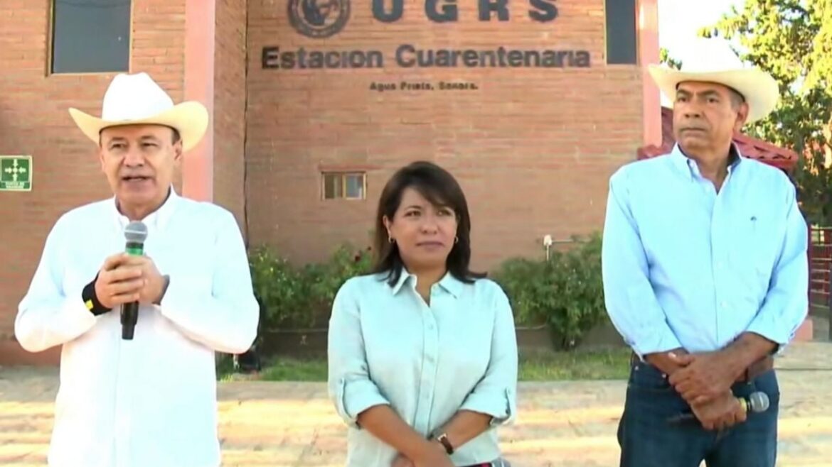 Sonora reanuda exportación de ganado a EE UU tras control sanitario