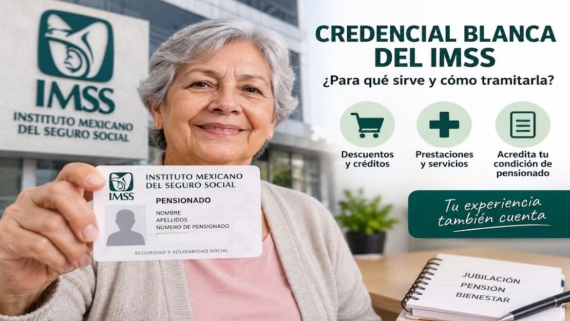 Credencial Blanca del IMSS: requisitos y beneficios para 2026
